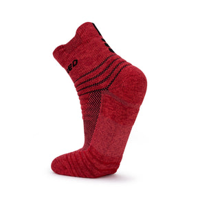Hundred Quarter Socks HBAS-1M005-3