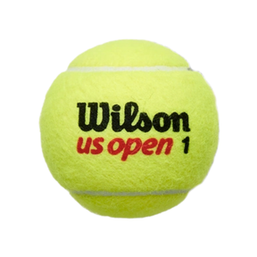 Wilson US Open Ball 4 Ball Can WRT116200 4 Ball Tube GREEN Tennis Balls Wilson