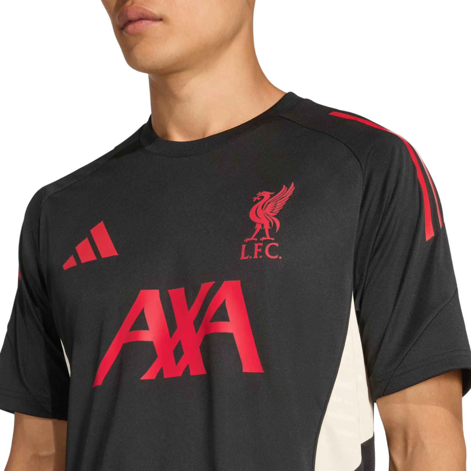 Adidas Liverpool F.C. 25/26 Training Jersey - Black Clothing Adidas