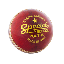 Readers Special School Cricket Ball Red Youth (MD) Readers