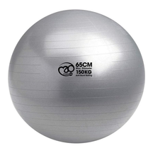 Fitness Mad Swiss Ball & Pump 125 kg (Silver) 65 cm by Fitness Mad