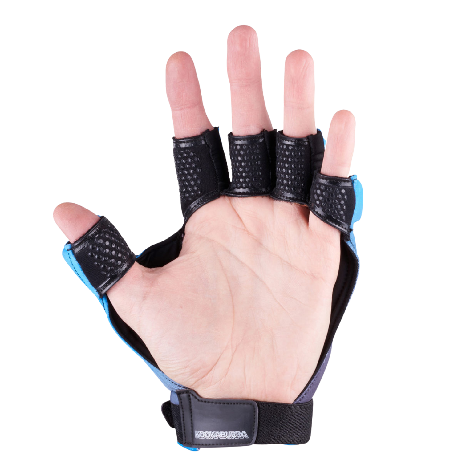 Kookaburra Hydra Left Hand Guards - Black/Blue Gloves Kookaburra