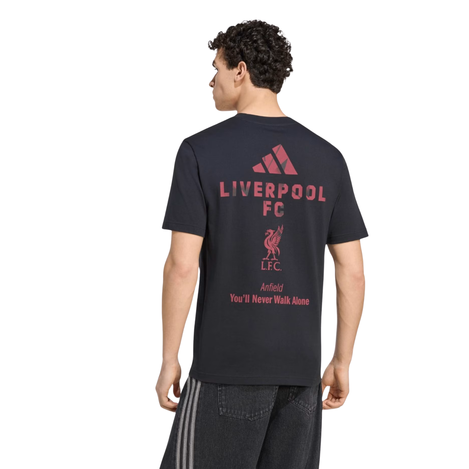 Adidas Liverpool F.C. 26/27 Seasonal Graphic T-Shirt Men - Black Clothing Adidas