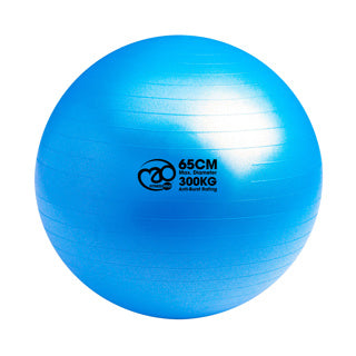 Fitness Mad 300Kg Swiss Ball & Pump with Online Guide 65cm - Blue